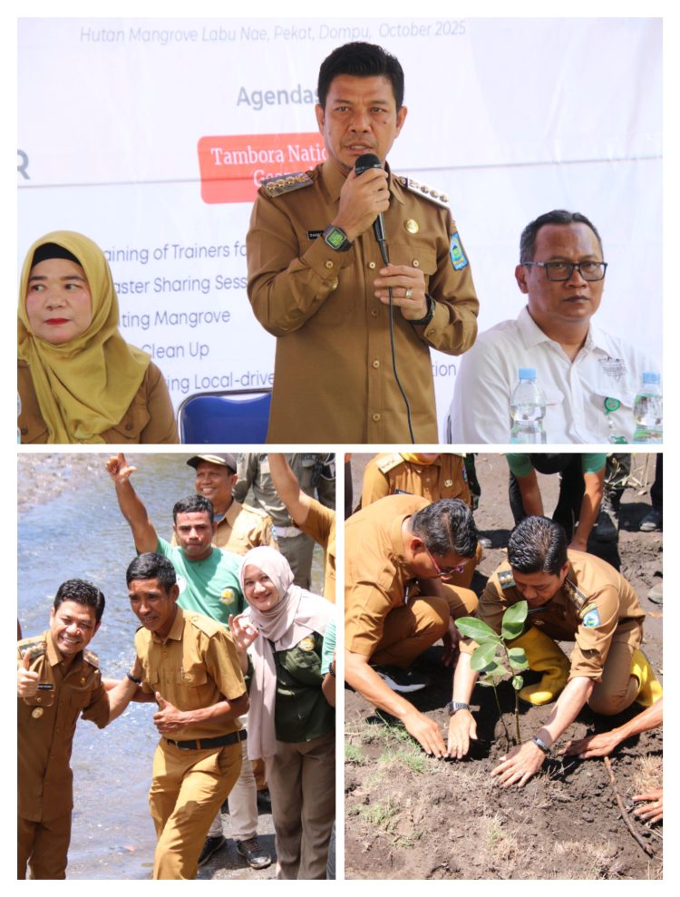 Peringati HPRB Internasional Bupati Dompu Bersama Pengelola Geopark Tambora Tanam Mangrove 